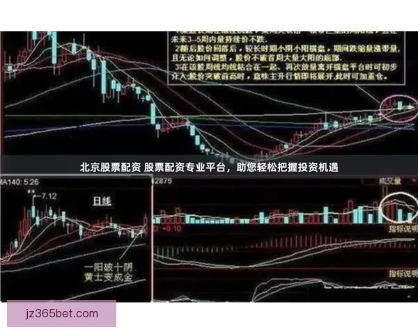 精准预测赢大奖 体育竞猜推荐助你轻松把握赛场动向