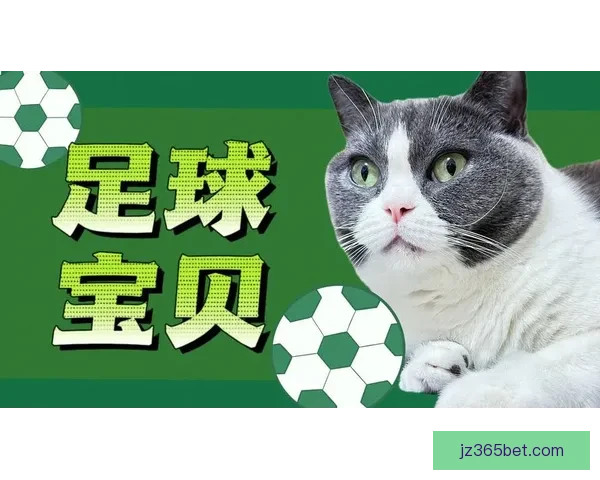 精准足球赛事预测与竞猜投注策略全解析指南